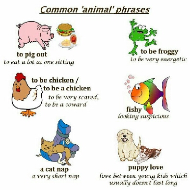 идиомы с животными-animal_idioms