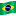  Brazilian Flag