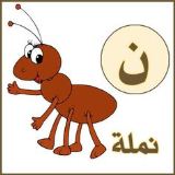 арабская буква н-муравей улыбается 