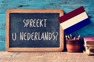 Do You Speak Dutch