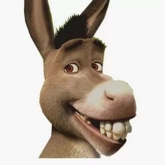 Shrek Donkey Smiling