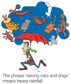 English Idioms Its Raining Cats And Dogs