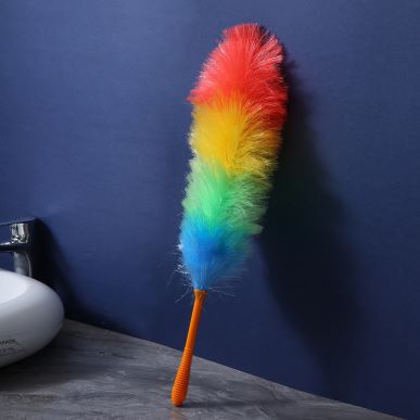 Feather Duster    