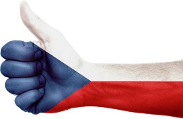 Thumbs Up A Hand Painted In Czech Flag Colours